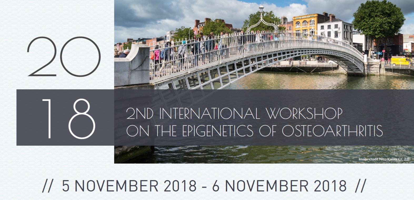 Epigenetics OARSI2018